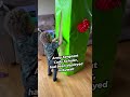 Toddler unboxes the best gift ever: his Army dad! | Militarykind #Shorts