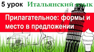 видео: Итальянский язык. Урок 5. Прилагательное: формы и место в предложении.Согласование с существительным картинка: Итальянский язык. Урок 5. Прилагательное: формы и место в предложении.Согласование с существительным