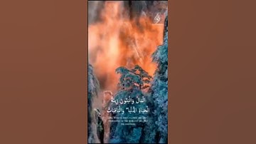 المال والبنون زينة الحياة الدنيا بصوت القارئ أحمد العجمي #صلوا_على_النبي #قرآن #يارب_اشفي_امي #short