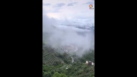 سورة العصر . سعد الغامدي ..