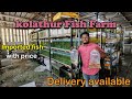 ரூ30 முதல் Imported fish|aqua zoo|Wholesale price|Delivery available|Rare|aqua Farm visit|Xploring