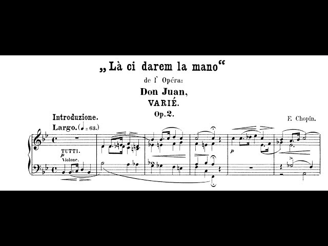 Chopin - Variations sur "La ci darem la mano":extraits : N.Goerner / Orch du 18è siècle / F.Brüggen