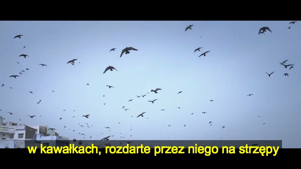 Moby - The Last Day - PL