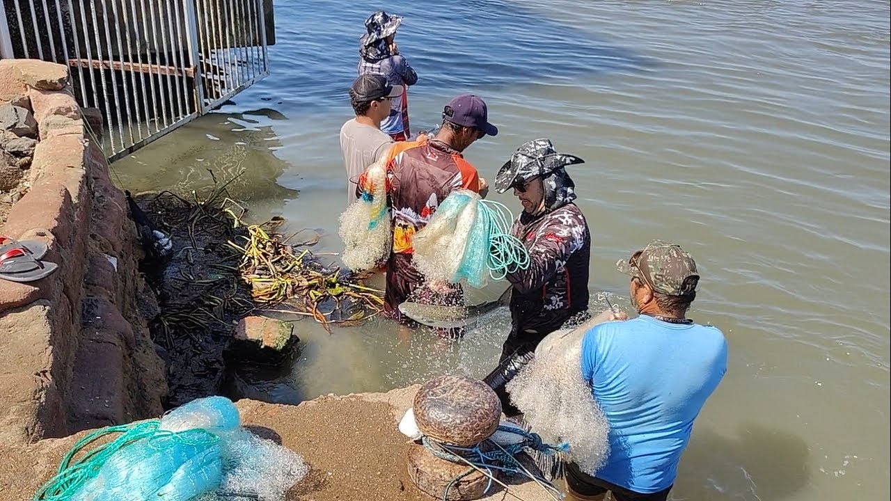 Pescarias de tarrafas, 02-03-25, Barra, Imbé, RS. Sem botos, pegando peixes. #netfish #tarrafas