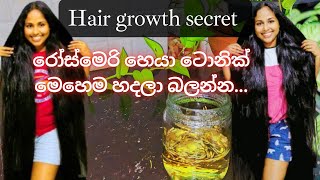 How To Make Hair Growth Tonic From Rosemary කණඩට කරන හදම සතකරය