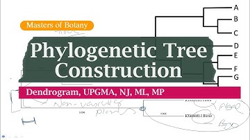 Bioinformatics | Phylogenetic Tree Construction | Dendrogram | MEGA, NCBI, UPGMA, NJ, ML, MP