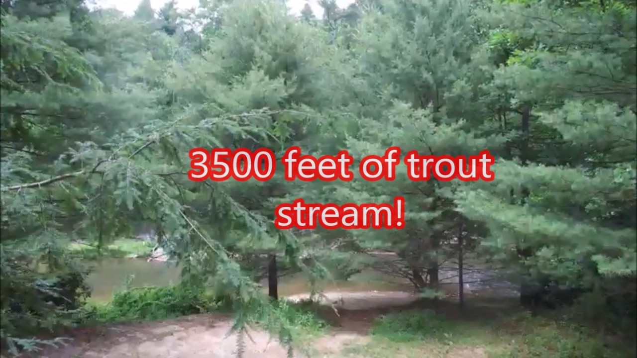 62 Mountain Acres for sale on trout stream