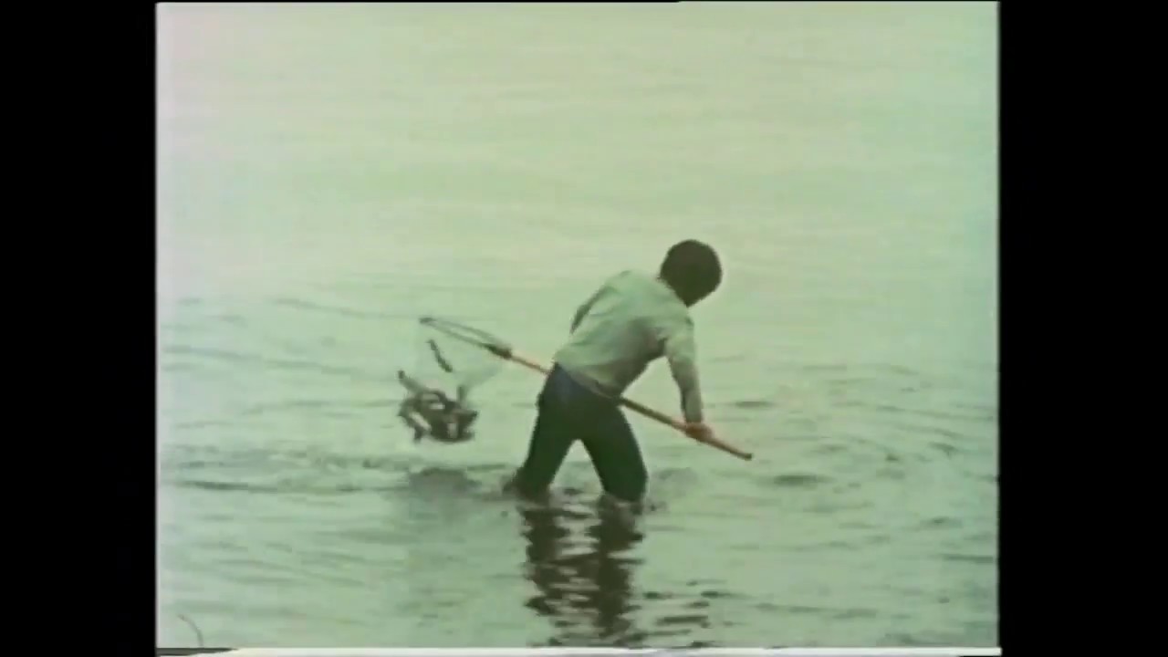 Qullissat (2:3) KNR 2002