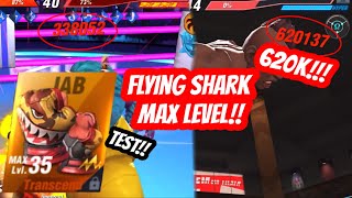 Boxing Star Testing Flying Shark - Rd Max Level 620K Tontan Channel