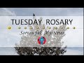 Tuesday Rosary • Sorrowful Mysteries of the Rosary 💜 April 16, 2024 VIRTUAL ROSARY - MEDITATION