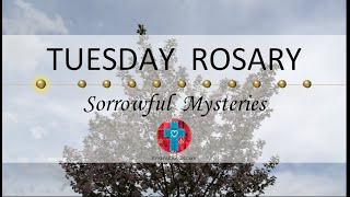 Tuesday Rosary • Sorrowful Mysteries of the Rosary 💜 April 16, 2024 VIRTUAL ROSARY - MEDITATION