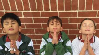 Authentic Learning Project