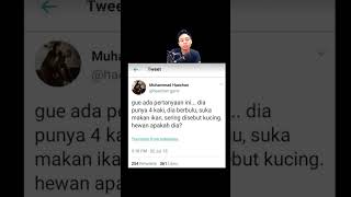 tebak hewan yang disebut kucing #reaction
