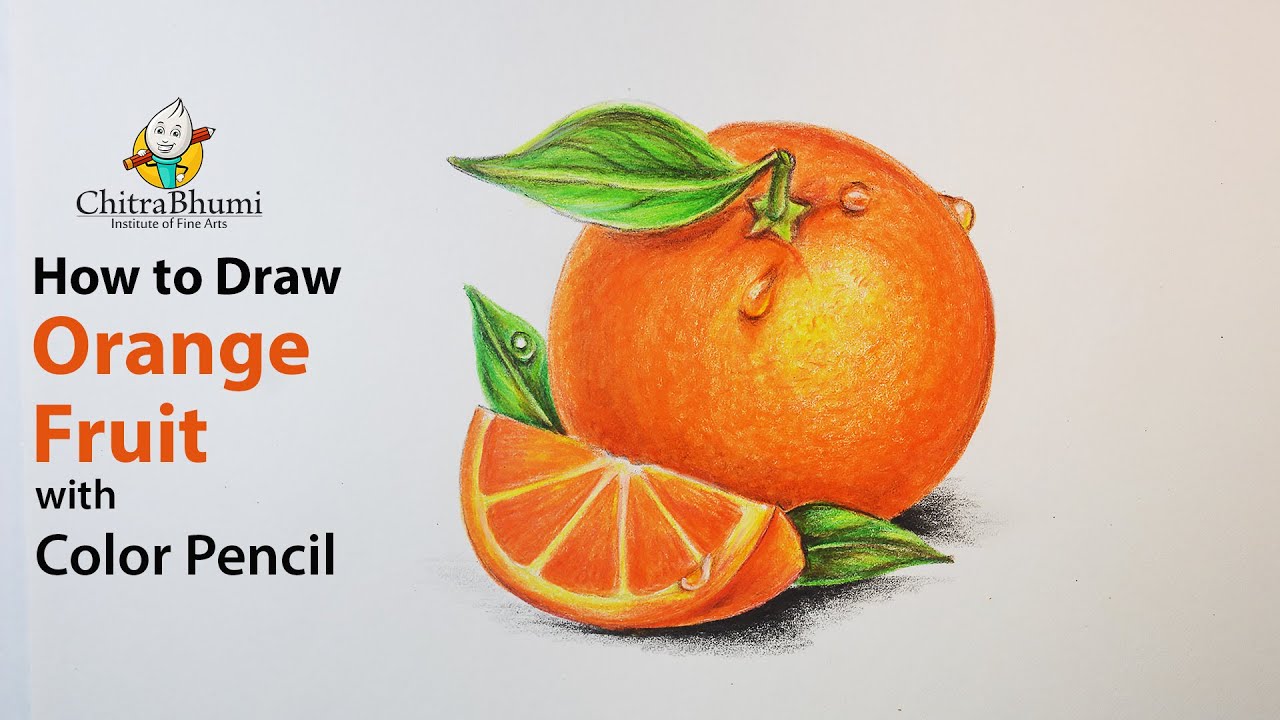 Pencil sketch of half orange  Lemon drawing Painting corner Crayon  drawings