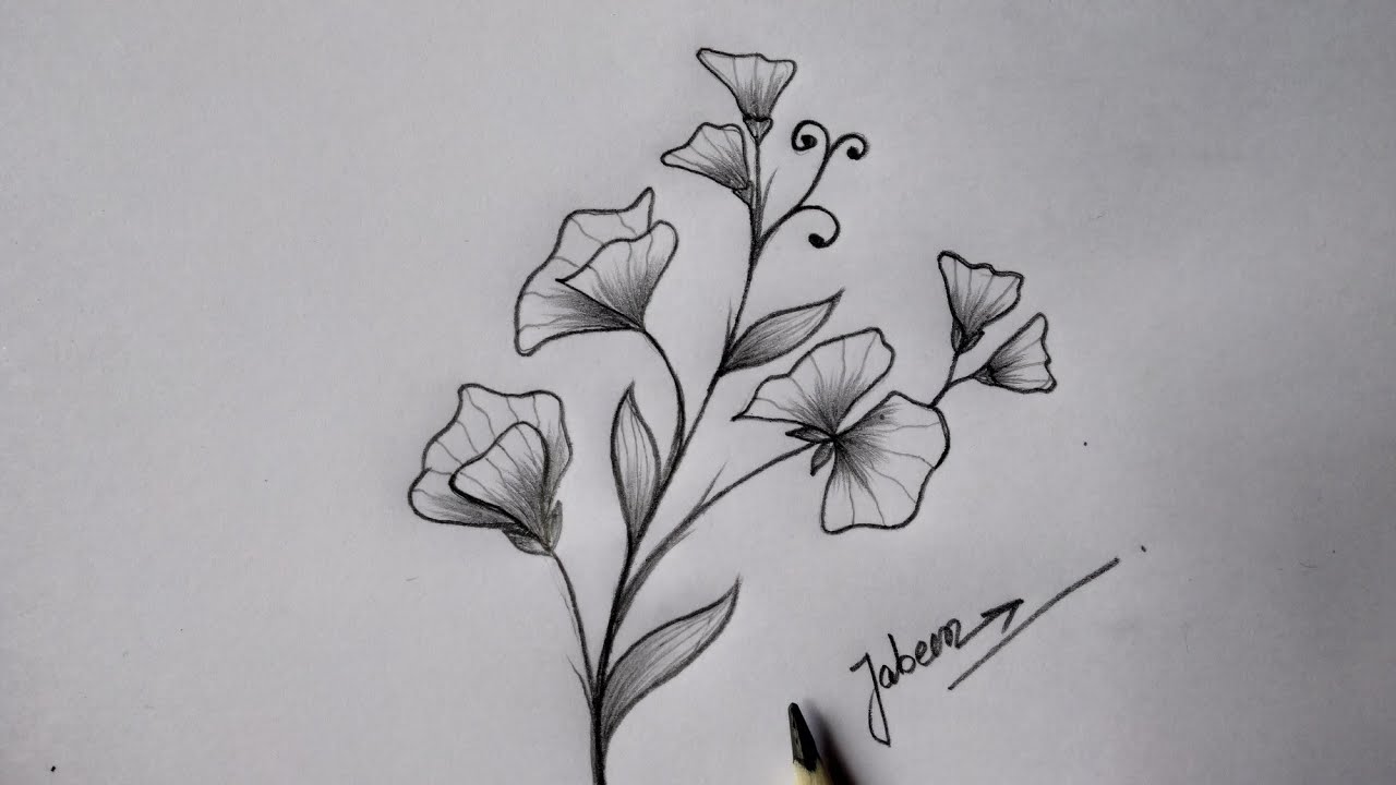 Beautiful flowers drawing | easy drawing | simple drawing | sweet pea drawing
