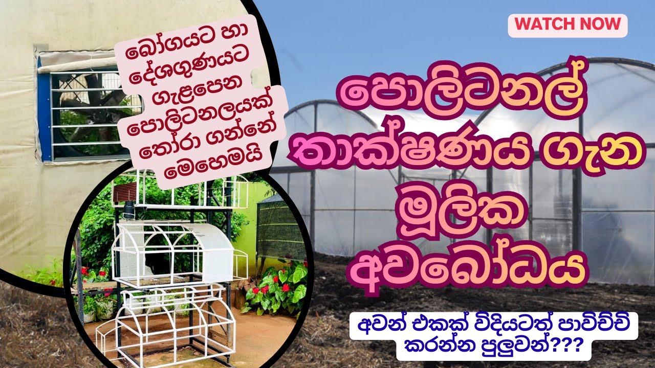Polytunnel Basics for Beginners මේ වීඩියෝ එක බැලුවොත් ඔබට වරදින්නේ නෑ  