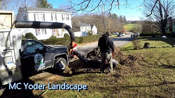 Fall Cleanup video