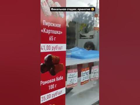 Стадия - принятие - YouTube