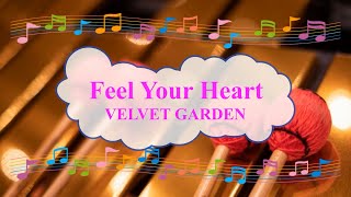 Feel Your Heart / VELVET GARDEN　名探偵コナン　ビブラフォン  [歌える音源](歌詞あり　ガイドメロディーあり　アニソン　1996年　オフボーカル　karaoke)