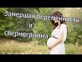 Замершая беременность на раннем сроке и спермограмма по Крюгеру. Повторная замершая беременность.