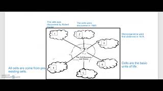 QUARTER 2 MODULE 5: HISTORY, THEORY, TYPES, STRUCTURES AND FUNCTIONS OF A CELL