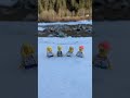 #Lego in the snow!