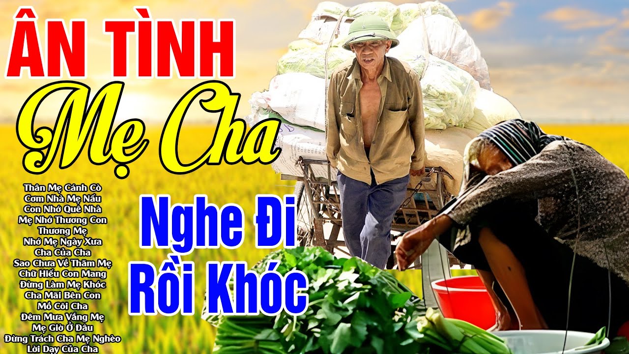 Đứt Từng Đoạn Ruột Khi Nghe Hát Về Mẹ - Khóc Hết Nước Mắt Vì Nhớ Mẹ Cha#79 Bài Bolero Ân Tình Mẹ Cha