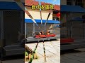Balcony & Rooftop Chicken Farming with Automatic Egg Collection#BackyardChickens #BalconyFarming