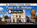 Live | Feast Of St Anthony | Konkani Mass | 8.30am | 14th June 2026 | St Anthony's Church Siolim