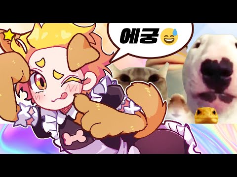 Sorry for not uploading uwu