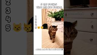 Sound Number 3 Is Ilegal