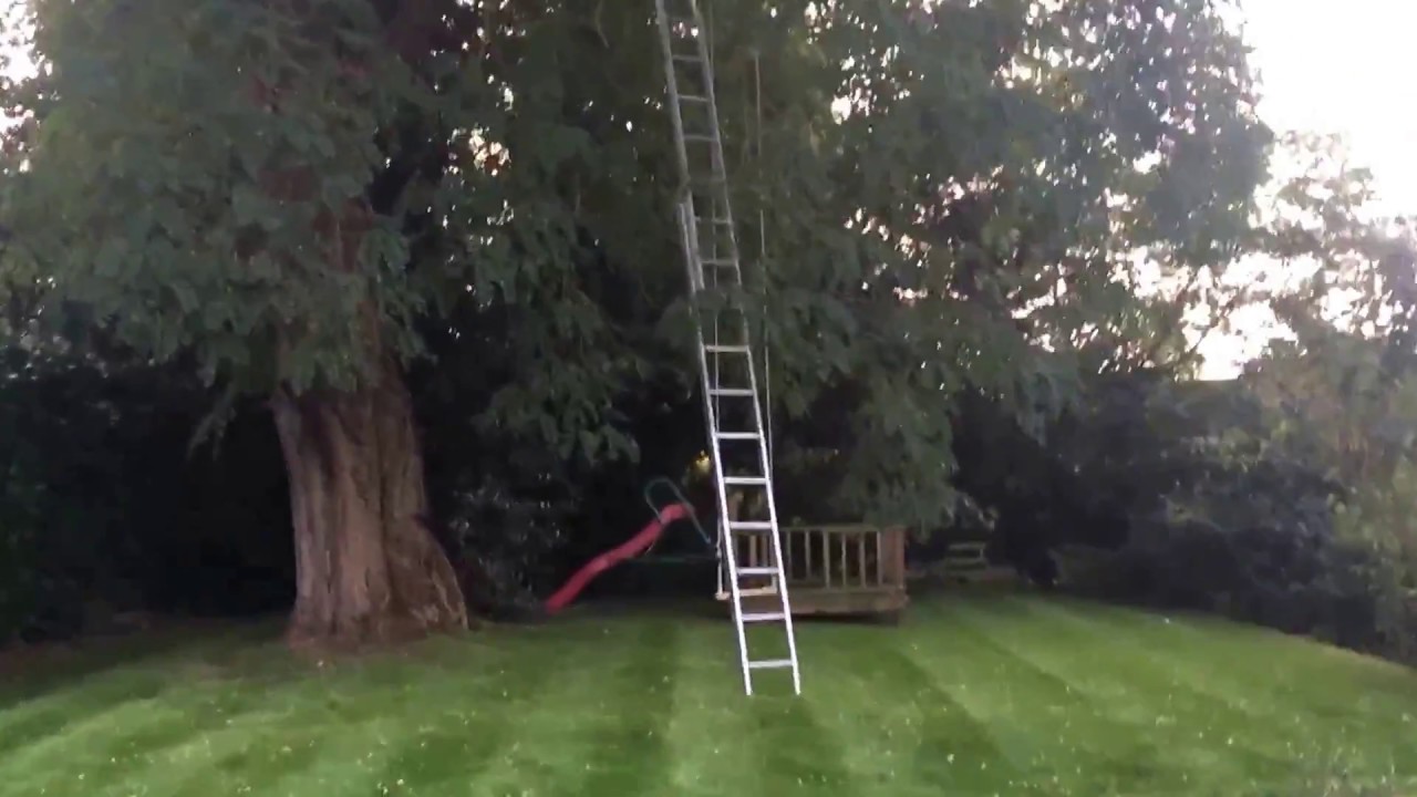 Rope swing fitting  up in a very tall tree