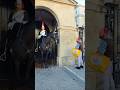DRUNK MaN TALKING to the KING'S HORSE#horseguards #tourist #kingsguard #troops #shortvideo #fyp #fun