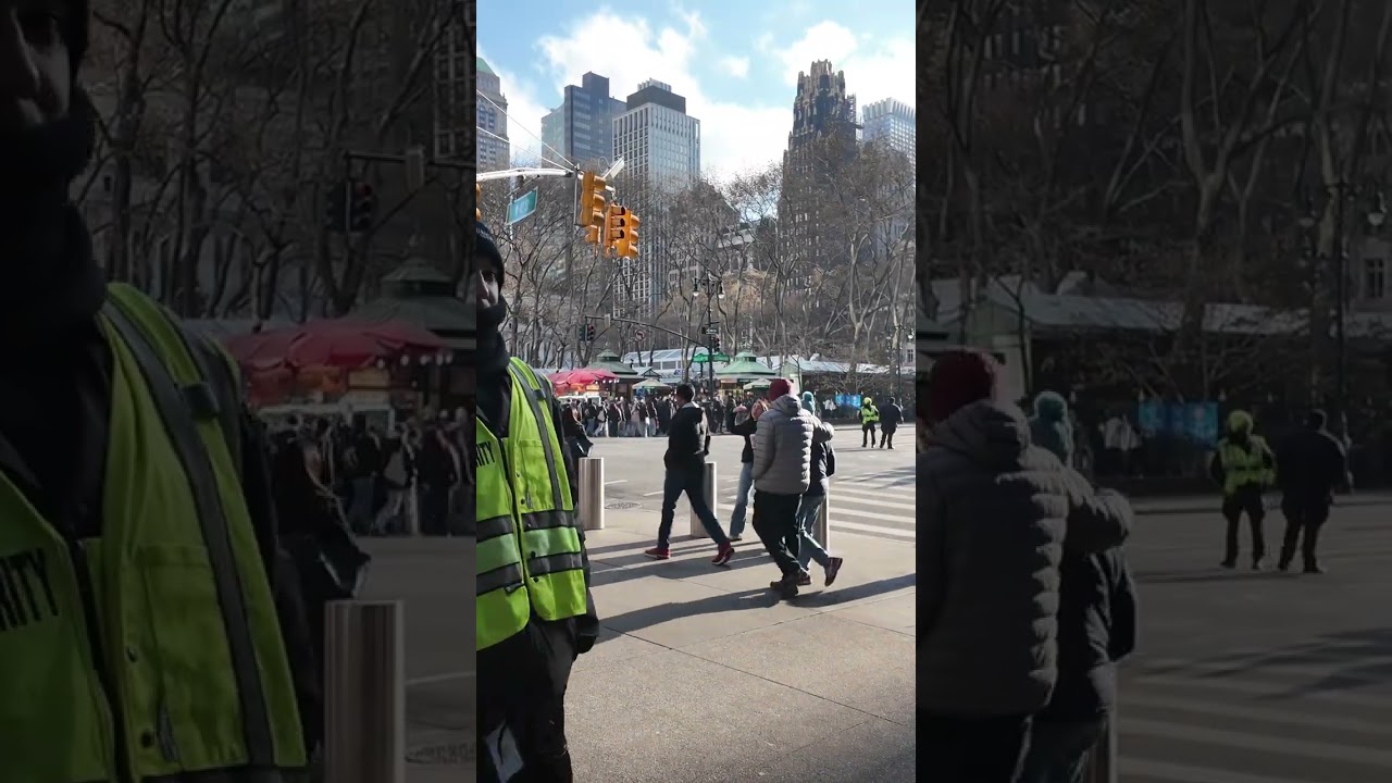 NYC Busy Street Life 