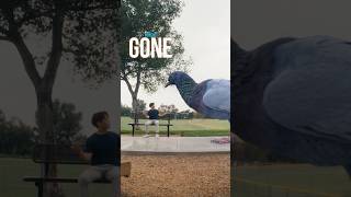 Prices, stress, even stairs rise—but not your phone bill with Metro by T-Mobile! @MetroByTMobile