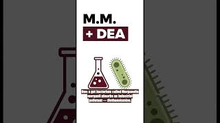 Some depression may start in your gut (Harvard 2025)