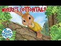 OfficialPeterRabbit Poor Cottontail Takes A Tumble Full Episode Cartoons For Kids 