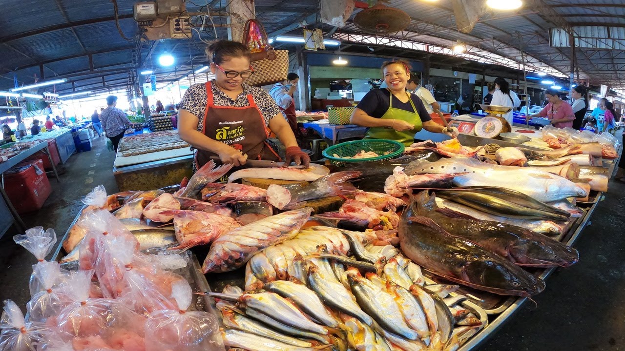 ตลาดแจ้งสว่าง ตลาดแลง จ.หนองคาย ปลาน้ำโขงมีแต่ตัวใหญ่ๆ