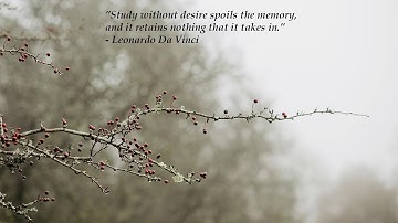 Thumbnail of Beautiful Uplifting Elegant Music | Howard Harper-Barnes - Progressive Progress