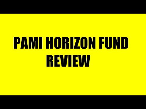 PAMI HORIZON FUND REVIEW