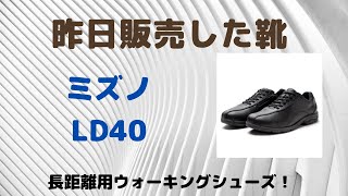 仙台　ミズノ　ウォーキングシューズ　靴　LD40