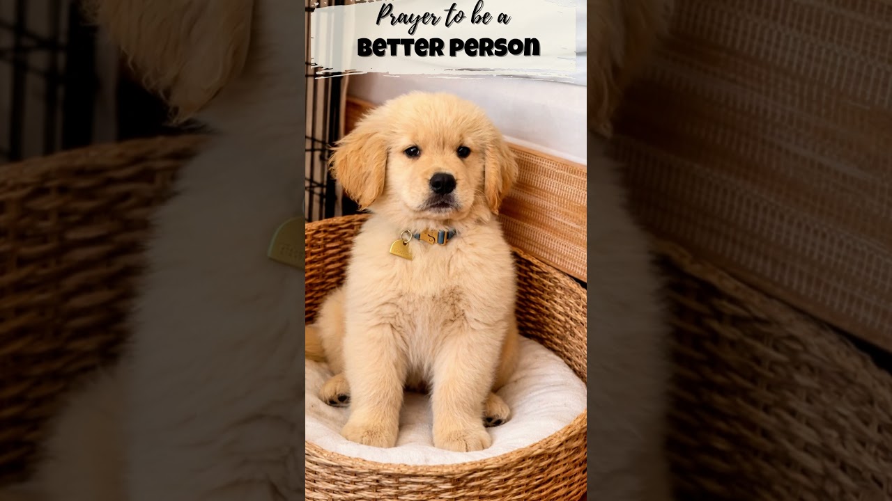 Prayer to Be a Better Person | Cute Puppy