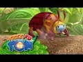 Tree Fu Tom | A Hungry Tea Biscuit Chases Squirmtum