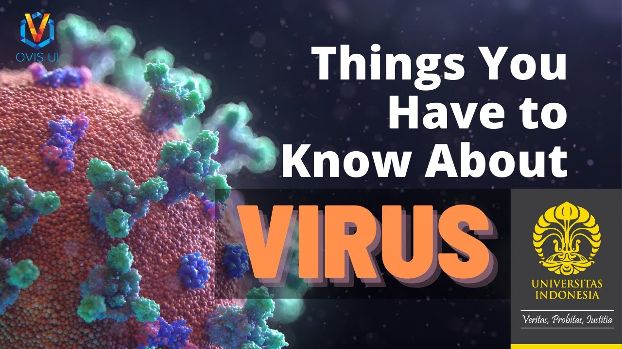 Things You Have to Know About Virus