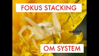 📸 Focus Stacking & Bracketing erklärt – OM System Funktionen