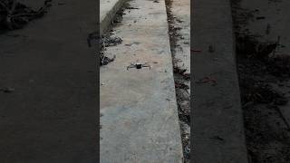 DJI Mini 3 Drone Cinematic Landing Viral || DJI Mini 3 #djidrone #shorts #dji #drone #djimini3
