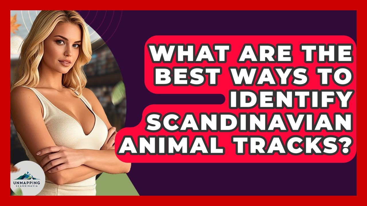 What Are The Best Ways To Identify Scandinavian Animal Tracks? - Unmapping Scandinavia