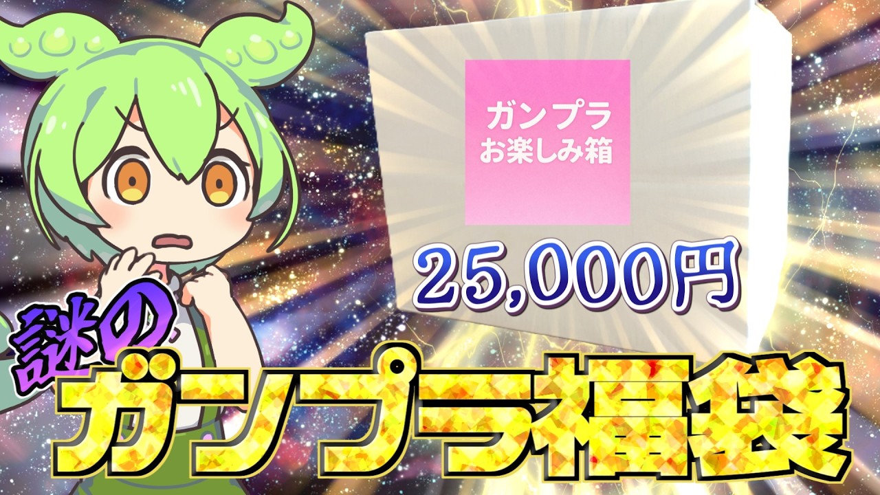 【ガンプラ福袋】レアキットが封入？！突如現れた謎のガンプラ福袋を購入してみた！