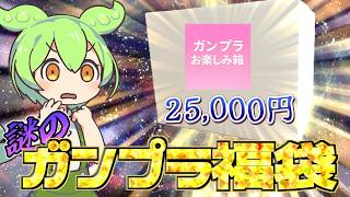 Gunpla Lucky Bag] Rare kits included?! I bought a mysterious