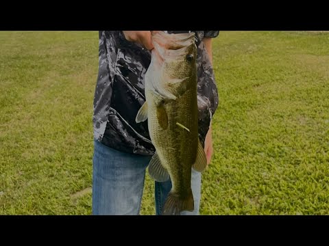 Bass fishing￼￼